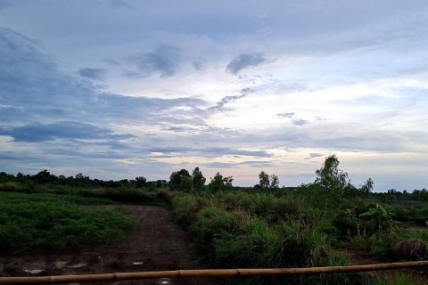 Земельный участок в Саконнакхоне, Таиланд 158163м2  № 163074 - фото 6