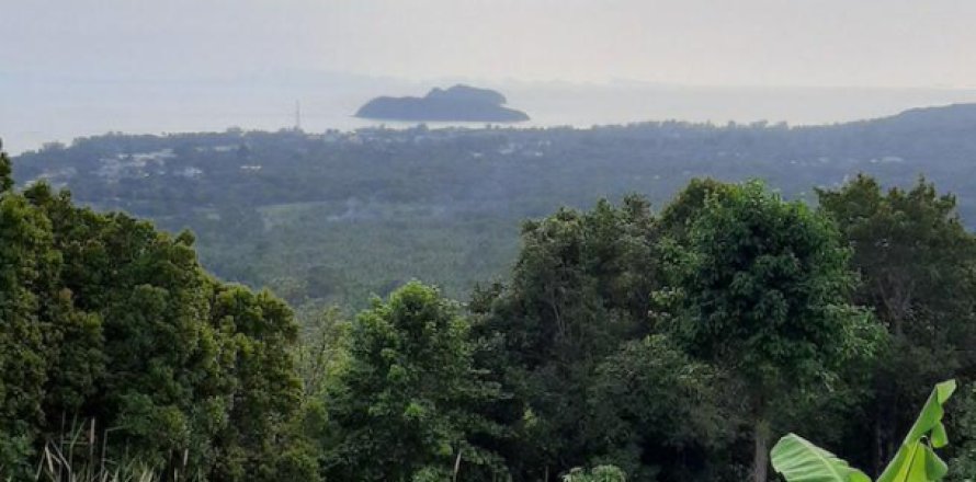 Terrain à Surat Thani, Thaïlande 6400 m2 № 194202