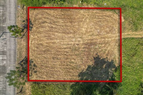 Terrain à Chiang Mai, Thaïlande № 161539 - photo 2