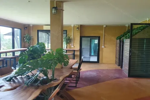 Commercial property in Chiang Mai, Thailand 1200 sq.m. № 162817 - photo 21