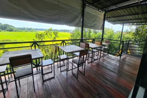 Commercial property in Chiang Mai, Thailand 1200 sq.m. № 162816 - photo 18