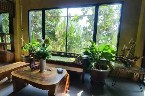 Propriété commerciale à Chiang Mai, Thaïlande 1200 m2 № 162816 - photo 9