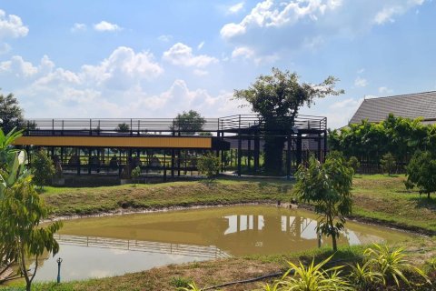 Propriété commerciale à Chiang Mai, Thaïlande 1200 m2 № 162816 - photo 15