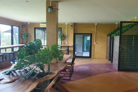 Commercial property in Chiang Mai, Thailand 1200 sq.m. № 162816 - photo 21