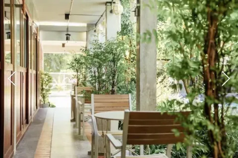 Коммерческая недвижимость в Чиангмае, Таиланд 800м2  № 162818 - фото 4