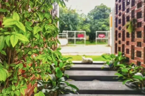 Propriété commerciale à Chiang Mai, Thaïlande 800 m2 № 162818 - photo 12