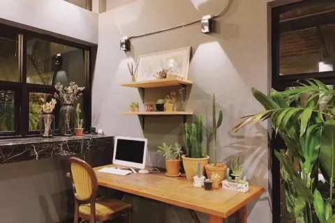 Propriété commerciale à Chiang Mai, Thaïlande 800 m2 № 162818 - photo 6