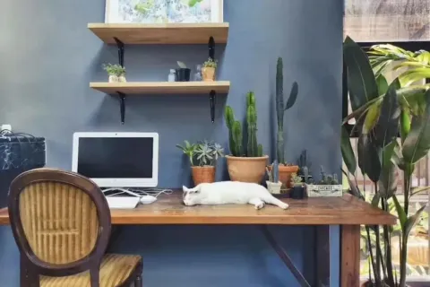 Коммерческая недвижимость в Чиангмае, Таиланд 800м2  № 162818 - фото 18