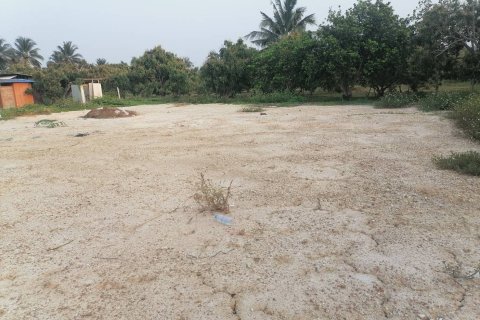 Дом в Сарафи, Таиланд с 3 спальнями № 151204 - фото 12