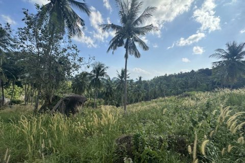 Terrain à Surat Thani, Thaïlande № 158836 - photo 10