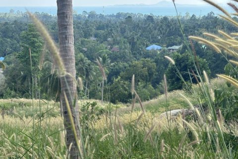 Terrain à Surat Thani, Thaïlande № 158836 - photo 4