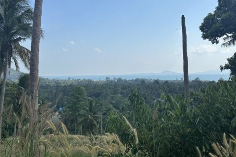 Terrain à Surat Thani, Thaïlande № 158836 - photo 3