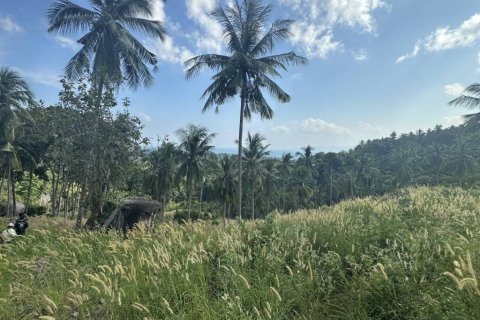 Terrain à Surat Thani, Thaïlande № 158836 - photo 8