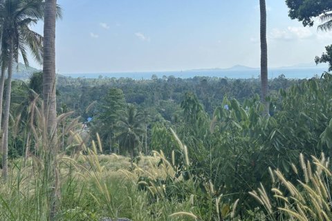 Terrain à Surat Thani, Thaïlande № 158836 - photo 5