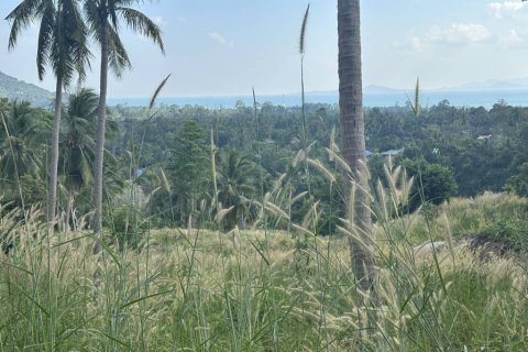 Terrain à Surat Thani, Thaïlande № 158836 - photo 7