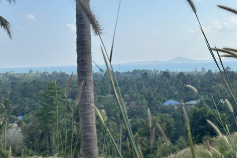 Terrain à Surat Thani, Thaïlande № 158836