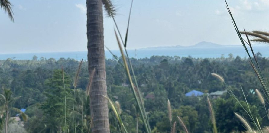 Terrain à Surat Thani, Thaïlande № 158836