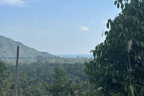 Terrain à Surat Thani, Thaïlande № 158836 - photo 2