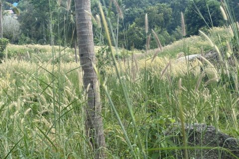 Terrain à Surat Thani, Thaïlande № 158836 - photo 9