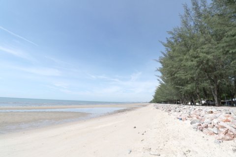 Кондоминиум с 2 спальнями в Ча-аме, Таиланд № 156180 - фото 20