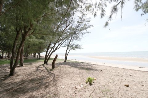 Кондоминиум с 2 спальнями в Ча-аме, Таиланд № 156180 - фото 24