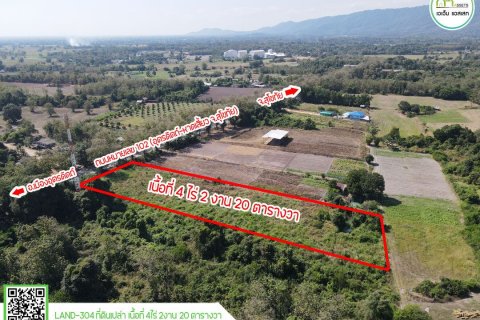 Земельный участок в Уттарадите, Таиланд 6400м2  № 155952 - фото 6