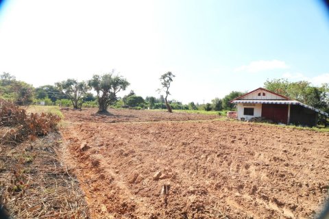 Земельный участок в Кут Чапе, Таиланд 14400м2  № 155951 - фото 8