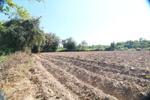 Земельный участок в Кут Чапе, Таиланд 14400м2  № 155951 - фото 15