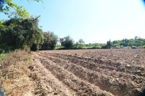 Земельный участок в Кут Чапе, Таиланд 14400м2  № 155951 - фото 12