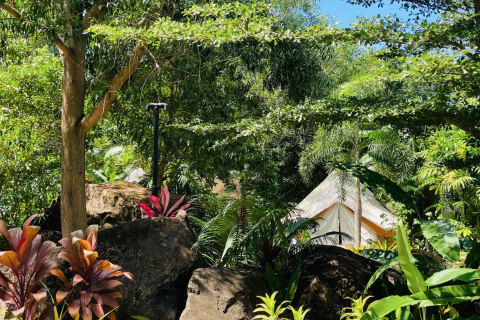 Отель в Пхукете, Таиланд  № 167621 - фото 4