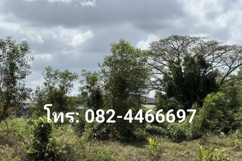 Земельный участок в Паттани, Таиланд 11200м2 № 171731 - фото 2