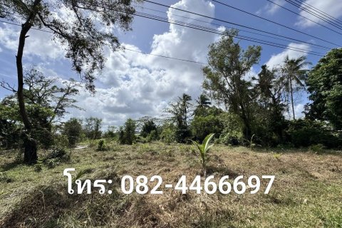 Земельный участок в Паттани, Таиланд 11200м2 № 171731 - фото 8
