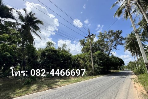 Земельный участок в Паттани, Таиланд 11200м2 № 171731 - фото 6