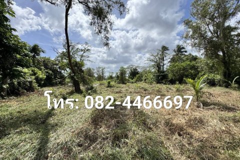Земельный участок в Паттани, Таиланд 11200м2 № 171731 - фото 5
