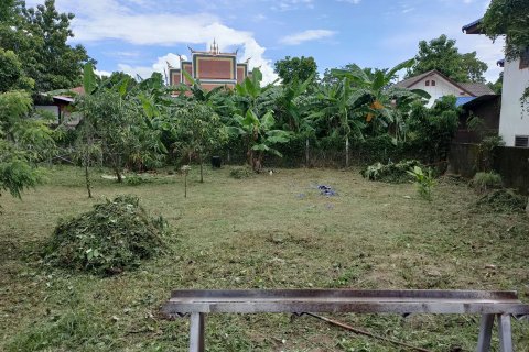 Terrain à Udon Thani, Thaïlande 1296 m2 № 171729 - photo 4