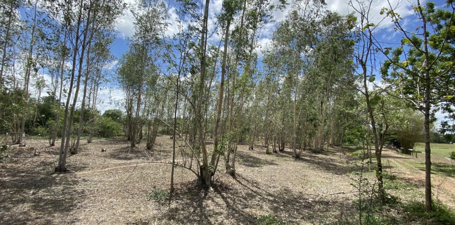 Terrain à Khao Yoi, Thaïlande 49600 m2 № 169072