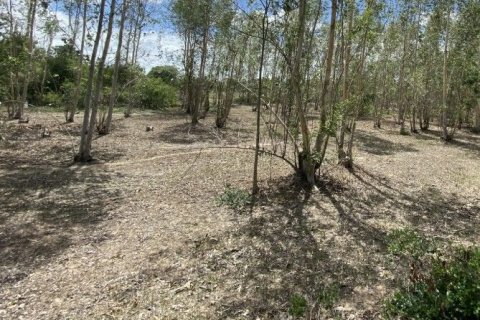 Terrain à Khao Yoi, Thaïlande 49600 m2 № 169072 - photo 2