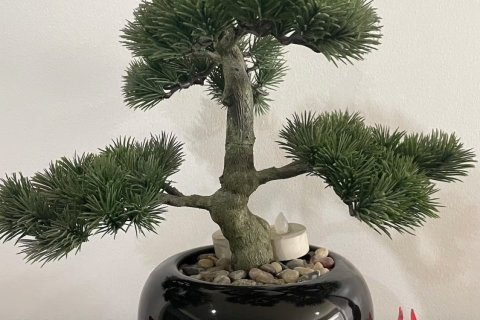 Condo in Kathu, Thailand, 2 bedrooms  № 169070 - photo 26