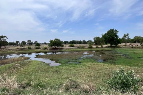 Land in Phayakkhaphum Phisai, Thailand 57600 sq.m. № 149335 - photo 4