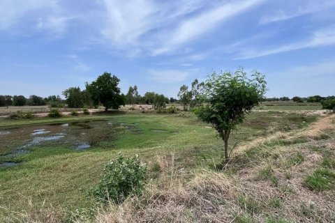 Land in Phayakkhaphum Phisai, Thailand 57600 sq.m. № 149335 - photo 6