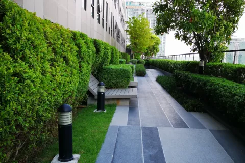 Студия в кондо в Дин Даенге, Бангкок, Таиланд № 138932 - фото 18