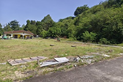 Земельный участок в Кату, Таиланд 275.2м2 № 154117 - фото 2