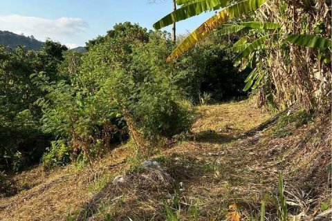 Terrain à Phuket, Thaïlande 1496.8 m2 № 154122 - photo 3