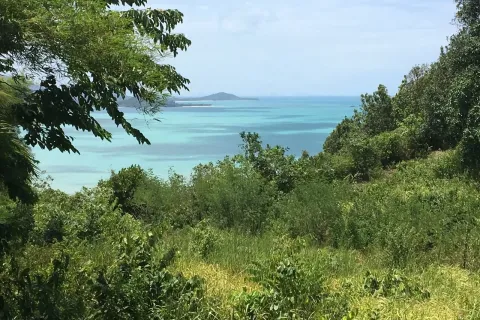 Land in Ko Samui, Thailand 4800 sq.m. № 157046 - photo 5