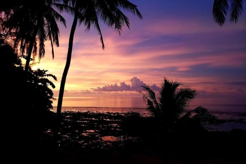 Studio à Kathu, Thaïlande № 154667 - photo 14