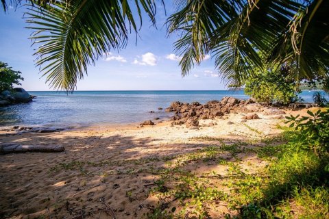 Studio à Kathu, Thaïlande № 154667 - photo 21