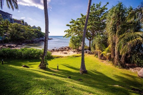 Studio à Kathu, Thaïlande № 154667 - photo 22