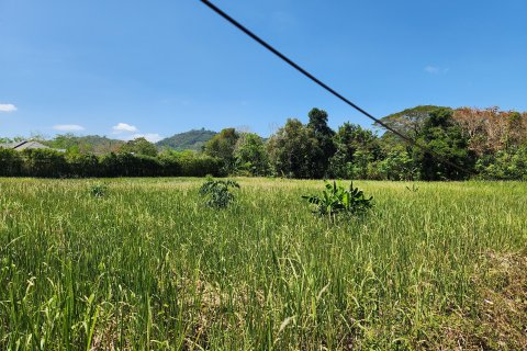 Земельный участок в Паклоке, Таиланд 6400м2  № 151382 - фото 2