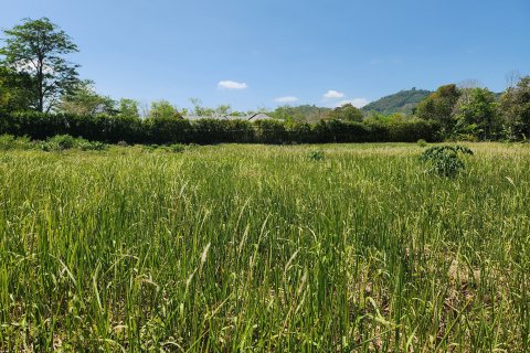 Земельный участок в Паклоке, Таиланд 6400м2  № 151382 - фото 4