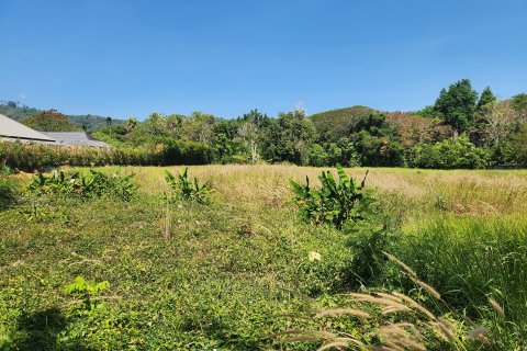 Земельный участок в Паклоке, Таиланд 6400м2  № 151382 - фото 5